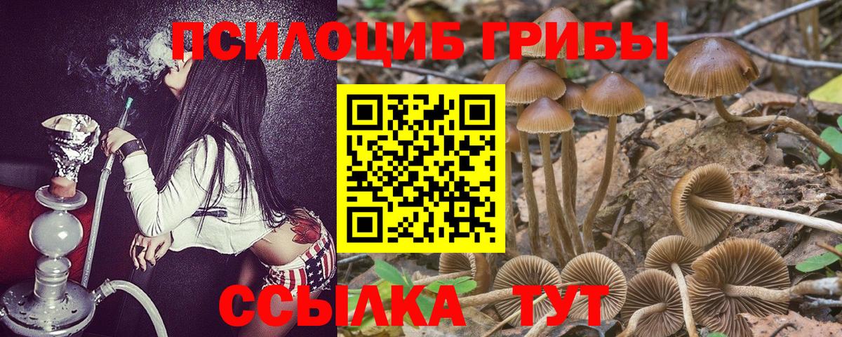Псилоцибиновые грибы Psilocybine cubensis  Галлюциногенные грибы Magic Shrooms  Вход с VPN  Саранск 