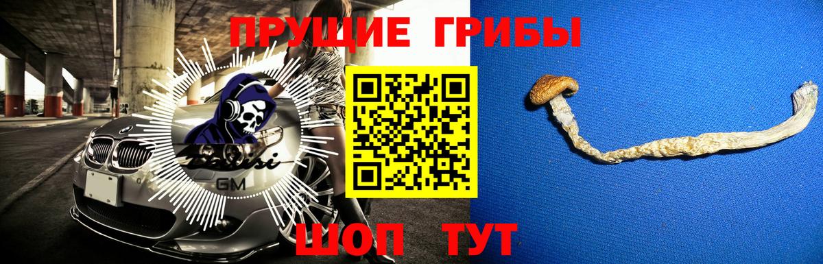 Галлюциногенные грибы мицелий Саранск
